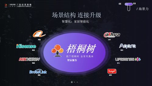 正定論道 華數傳媒蘇松解析T型經營策略，以數字文創內容服務打造大屏新生態